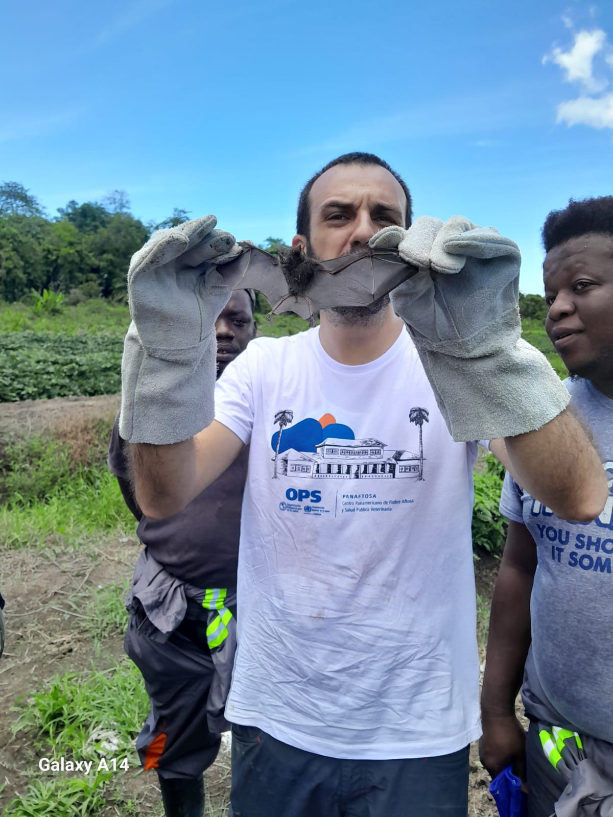 Activities conducted during the PAHOPANAFTOSA Mission for the Control, Surveillance and Prophylaxis mission held in May 2024