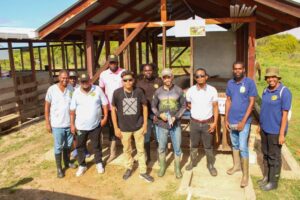 Commencement of our Embryo Transfer (2)