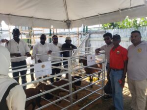 GLDA at World Food Day 2024 (2)