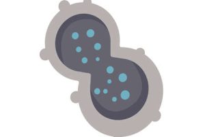 EMBRYOS<br>REQUIREMENTS