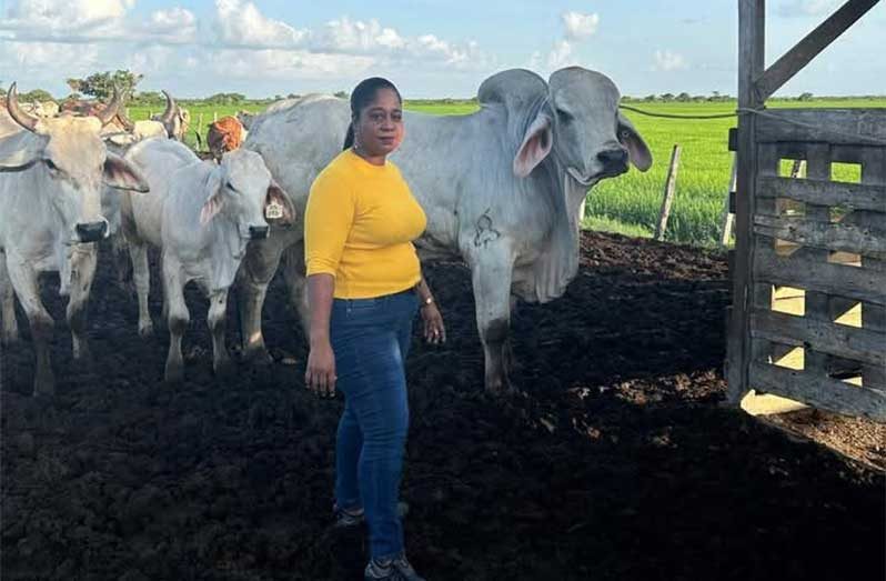 Region Five’s largest female cattle farmer keeps tradition alive