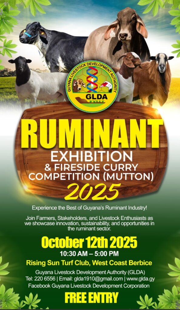 RUMINANT
